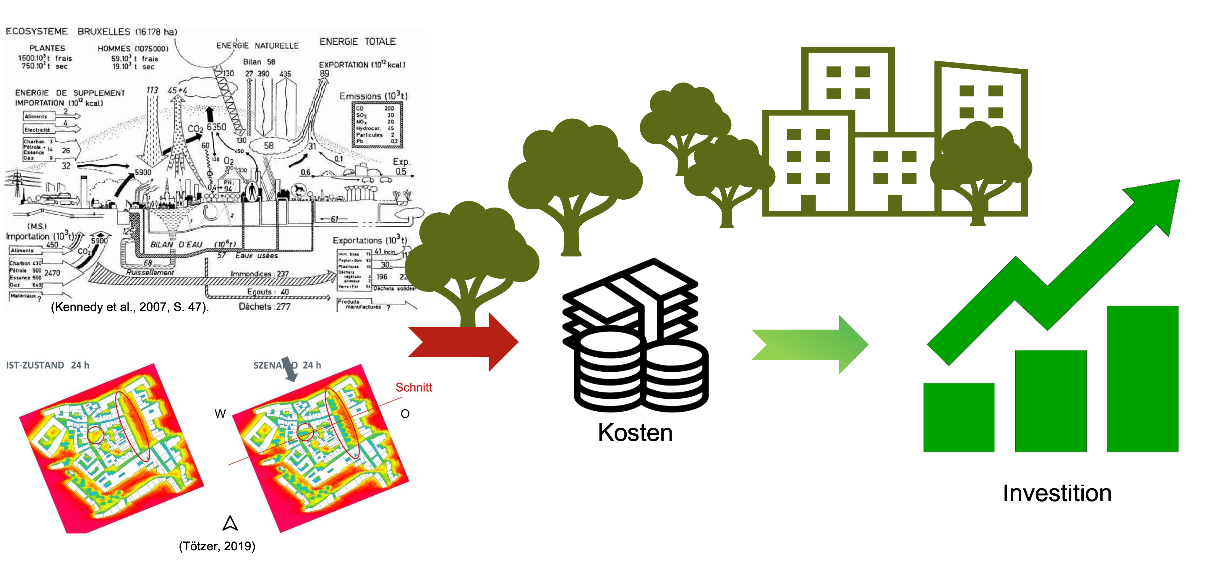 Forschungsfokus Dissertation urbane Begrünung