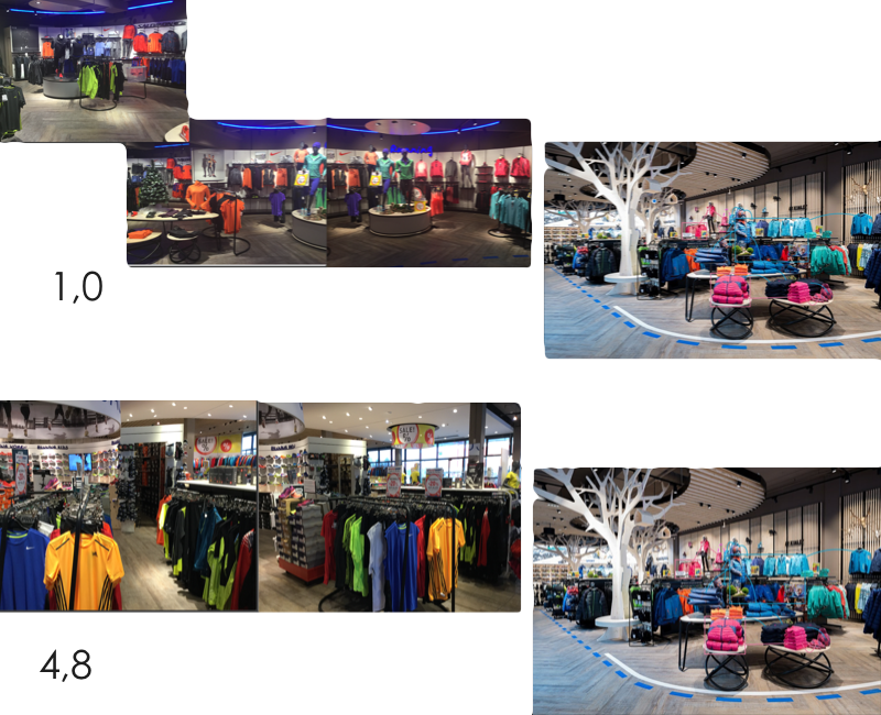 Bewertung der Instore Customer Experience anhand von gestaltpsychologischen Grundalgen