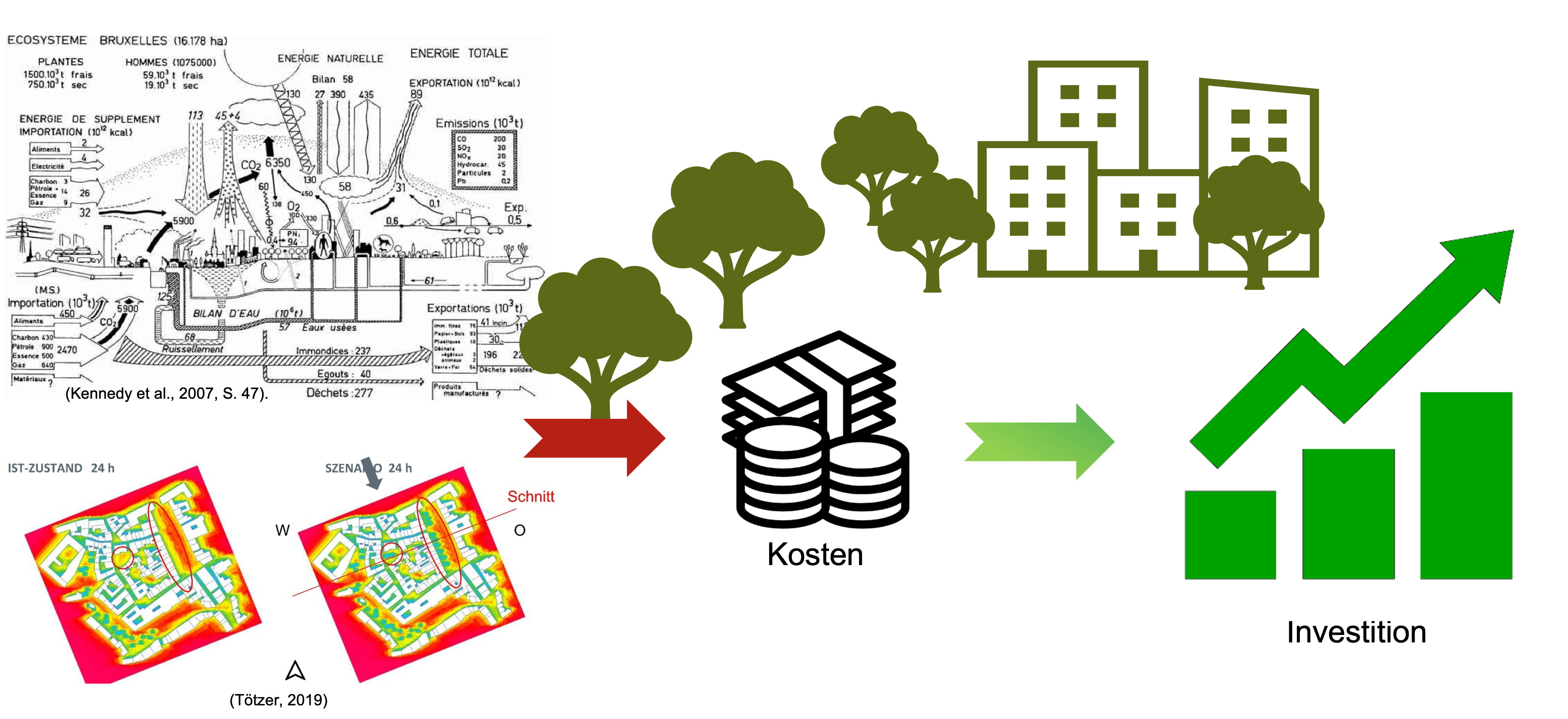 Forschungsfokus Dissertation urbane Begrünung